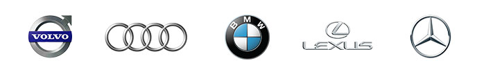 popular-brands